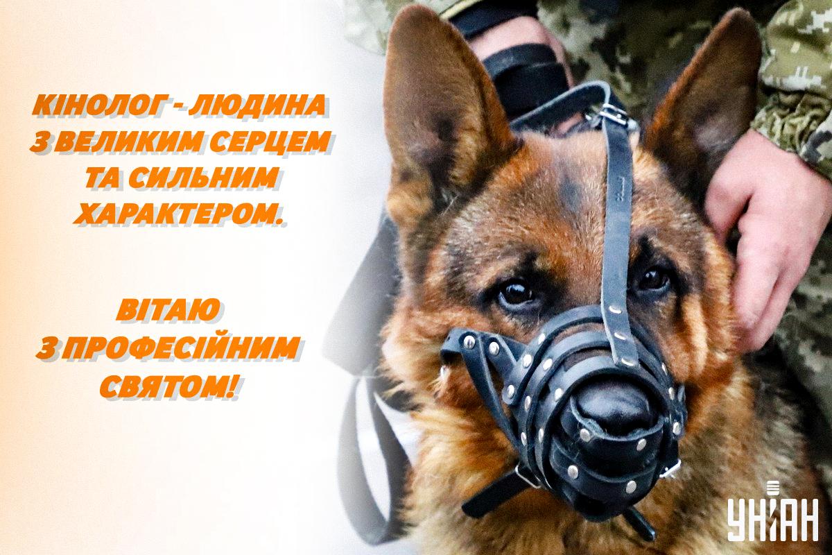 З днем кінолога - привітання / листівки УНІАН З днем кінолога - привітання / листівки УНІАН