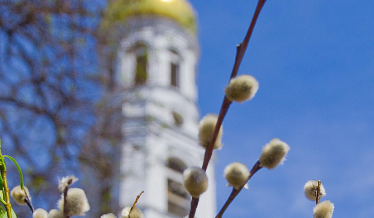 Вербна неділя порадує українців погодою: прогноз на 5 квітня