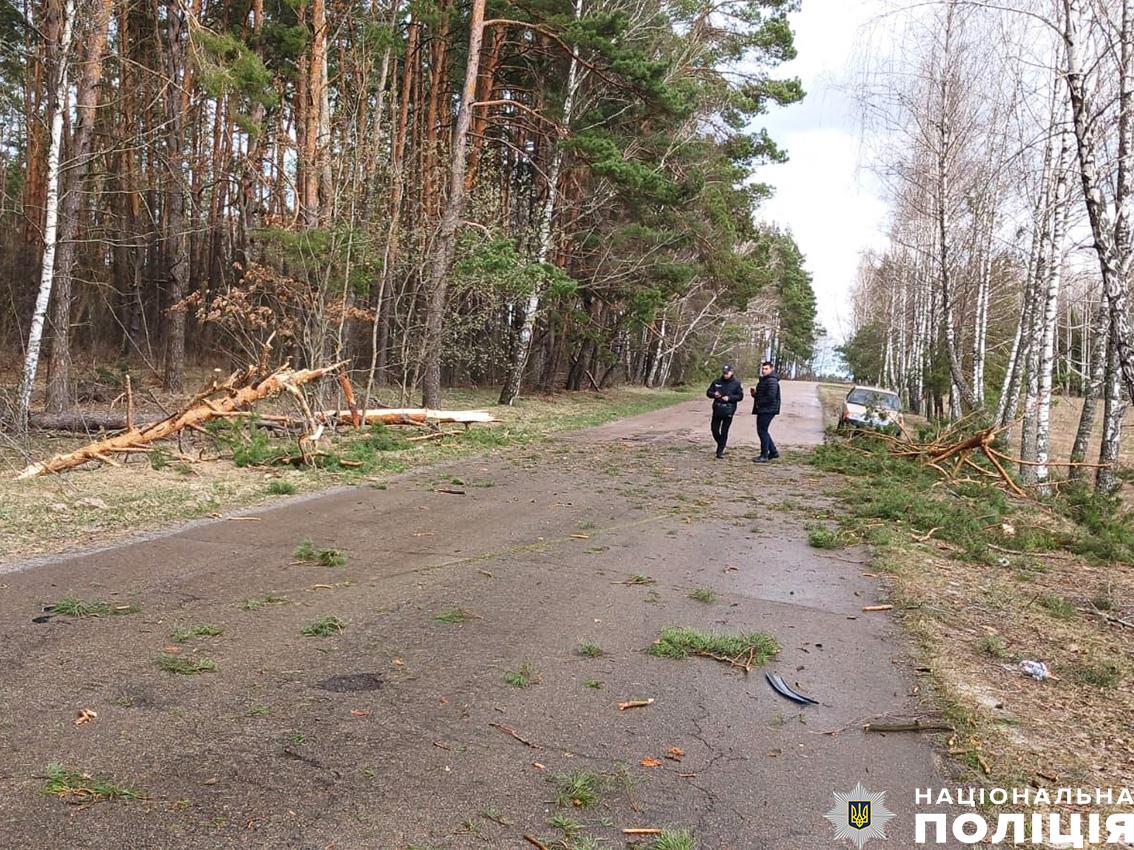 Правоохоронці з'ясовують всі обставини події / фото Поліція Чернігівської області Правоохоронці з'ясовують всі обставини події / фото Поліція Чернігівської області