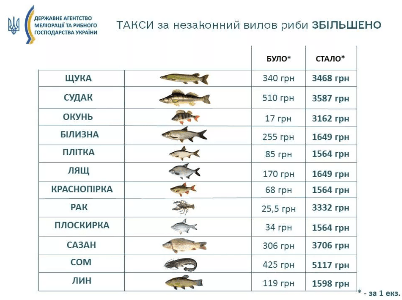 Штрафи за риболовлю / Державне агентство меліорації та рибного господарства України