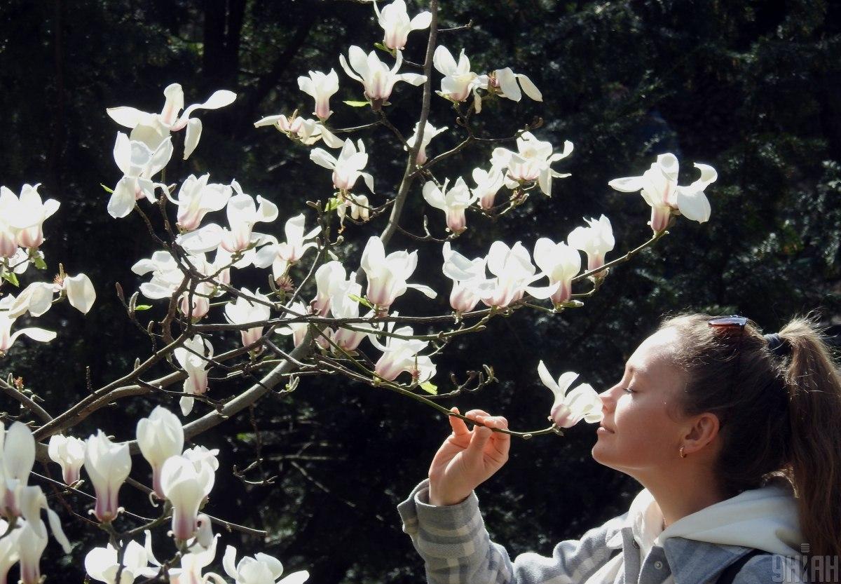 14 квітня в Україні потеплішає до +16° і більше