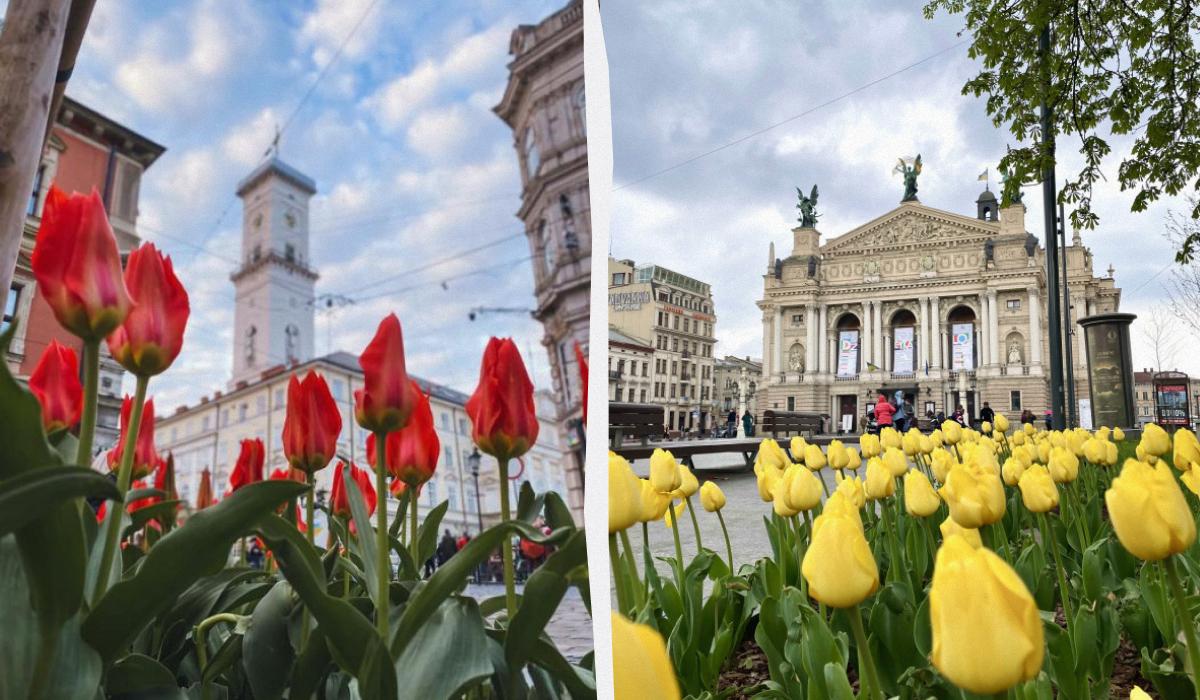 На карте можно найти места цветения тюльпанов, сакур, магнолий / коллаж УНИАН, фото lviv.travel/ua