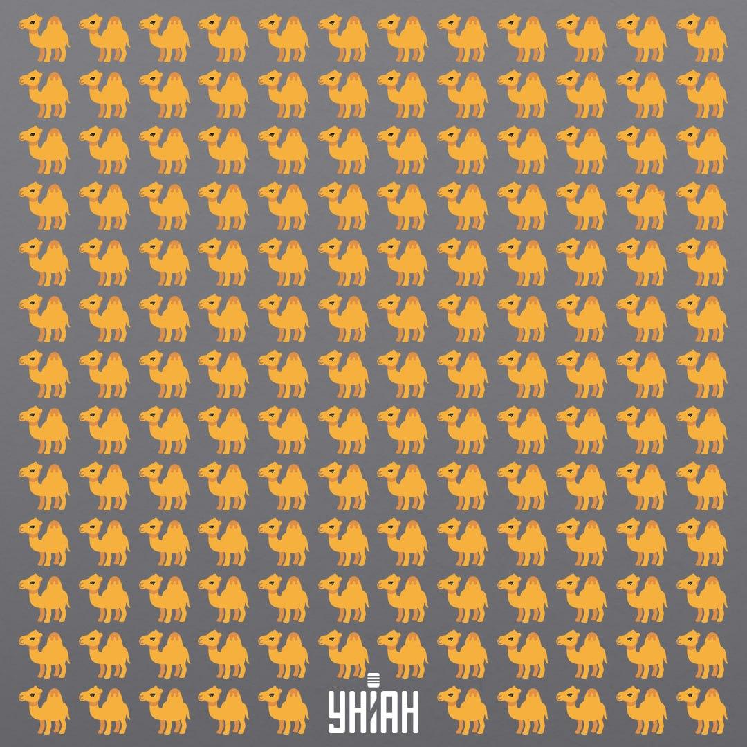 УНІАН УНІАН