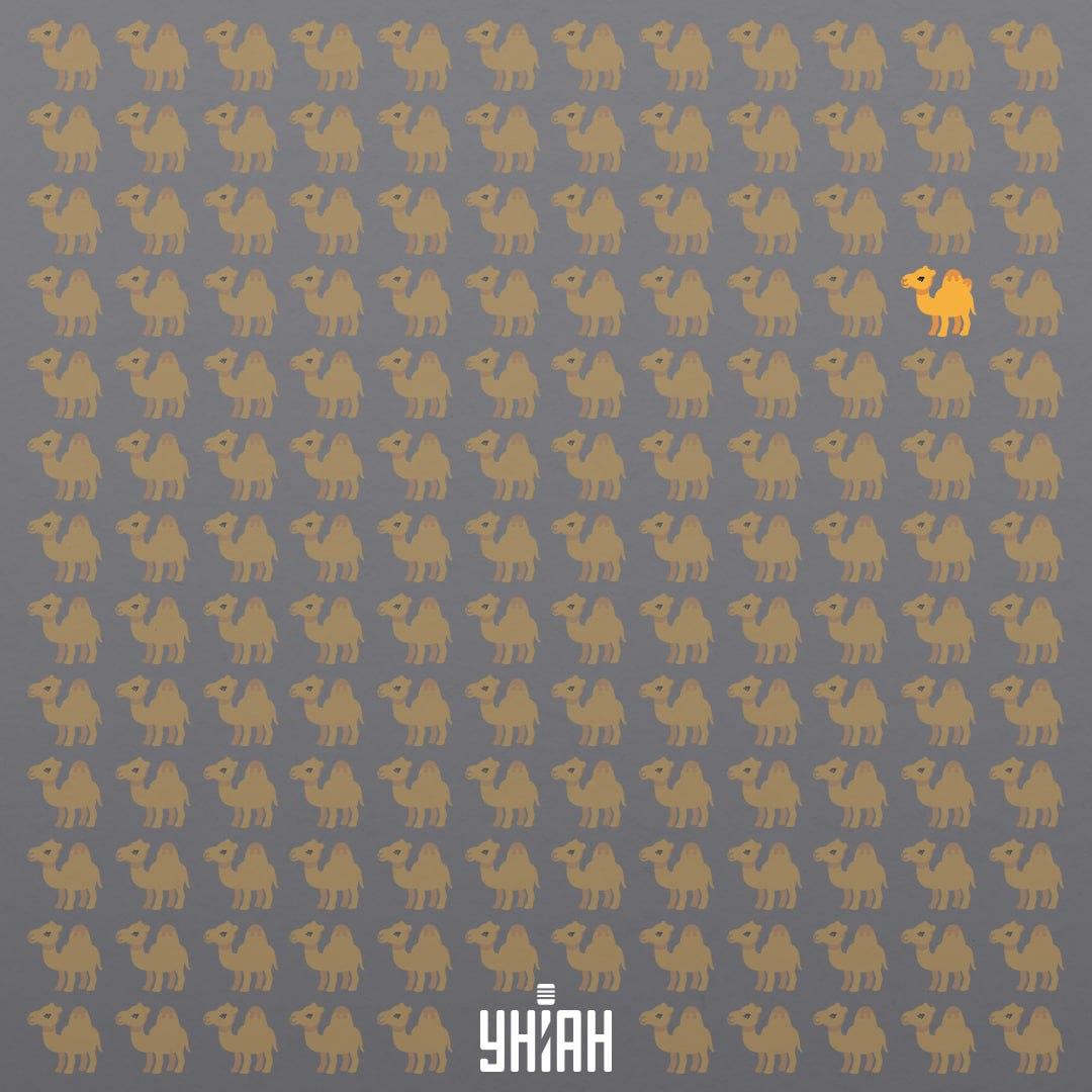 УНІАН УНІАН