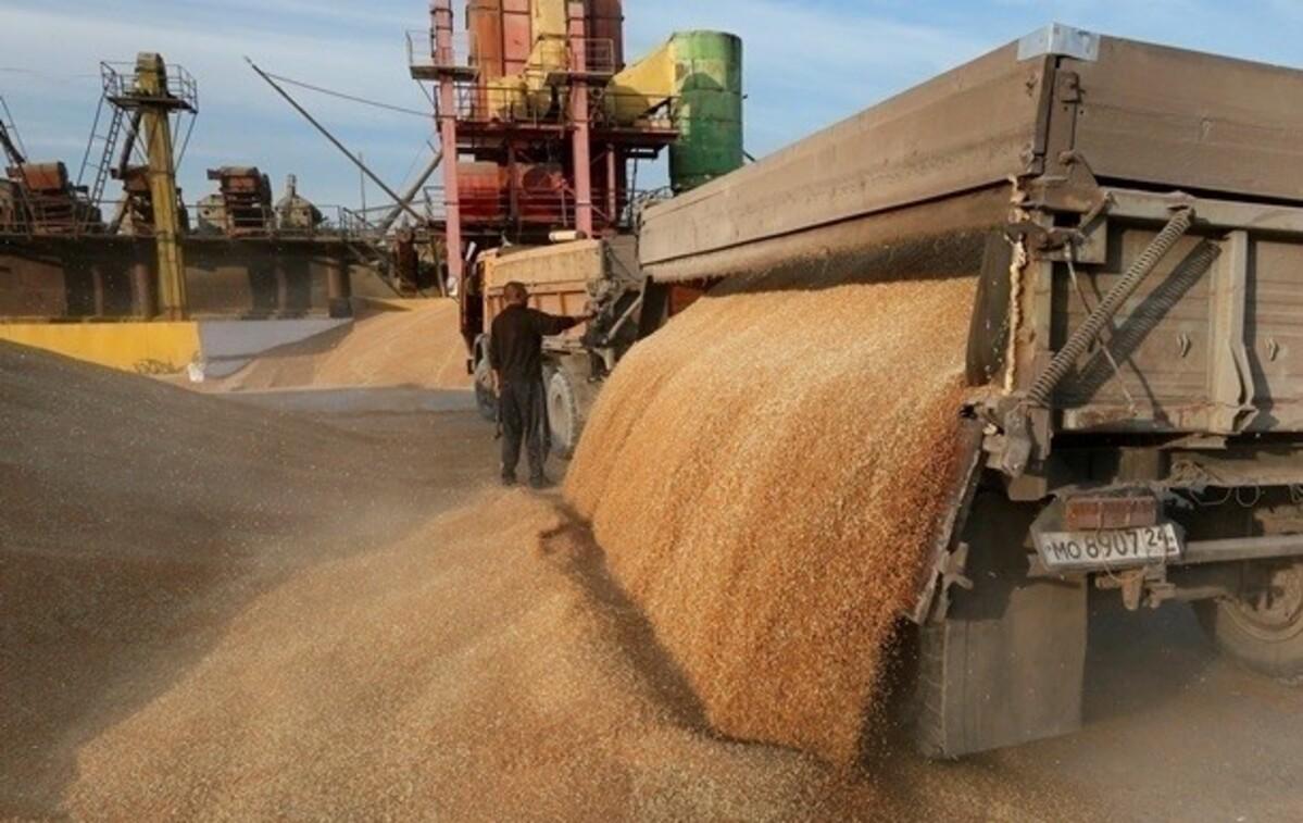 Коррупционные схемы на экспорте зерна остановлены благодаря Госпродпотребслужбе и правоохранителям, - заявление ассоциации Коррупционные схемы на экспорте зерна остановлены благодаря Госпродпотребслужбе и правоохранителям, - заявление ассоциации