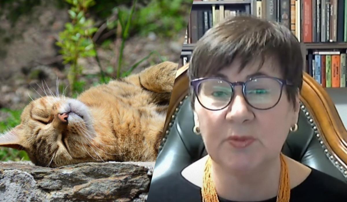 Наталка Діденко розповіла, де в п'ятницю прогнозується літня температура повітря / колаж УНІАН з фото Pixabay та скріншоту Наталка Діденко розповіла, де в п'ятницю прогнозується літня температура повітря / колаж УНІАН з фото Pixabay та скріншоту