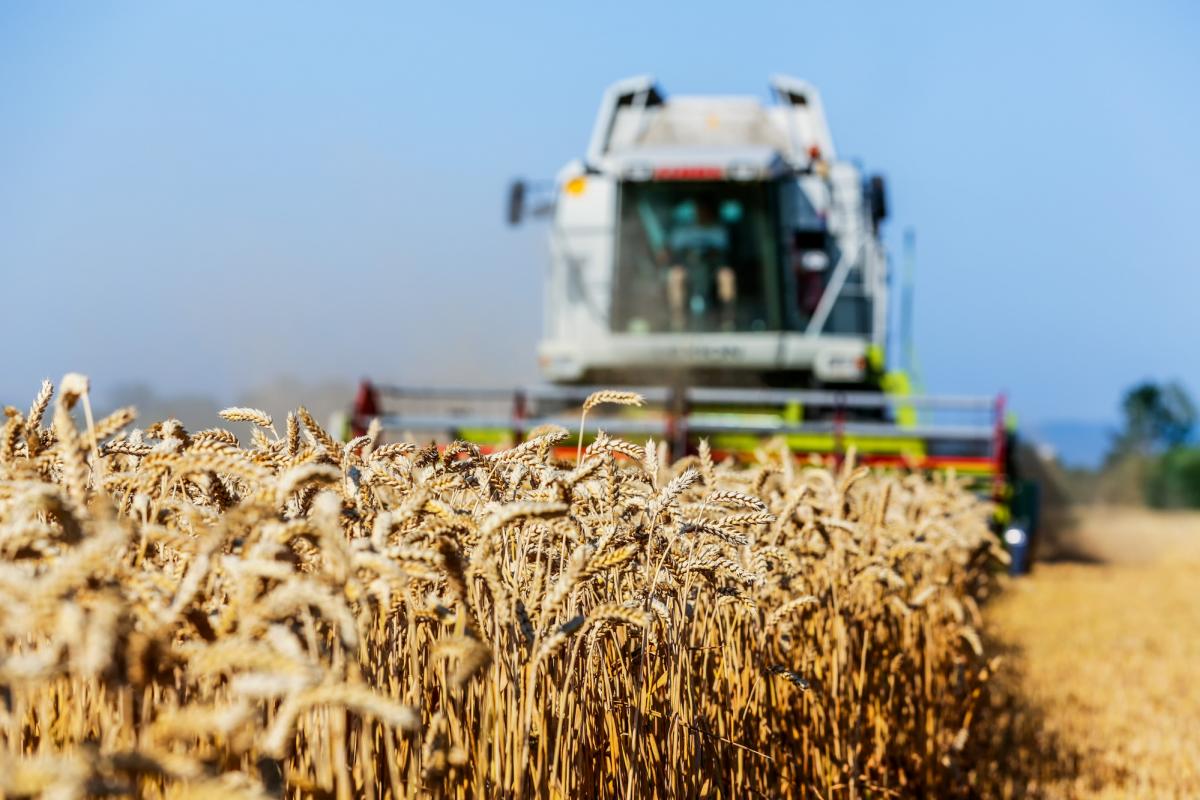 В Венгрии обвинили ЕС в том, что он не смог защитить европейских фермеров в конкуренции с дешевым импортом / фото ua.depositphotos.com