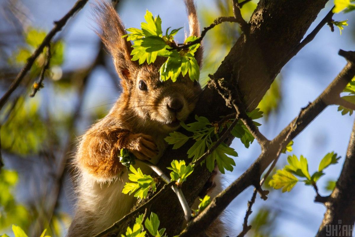 Беріть вихідний: синоптикиня назвала найтепліший день на наступному тижні