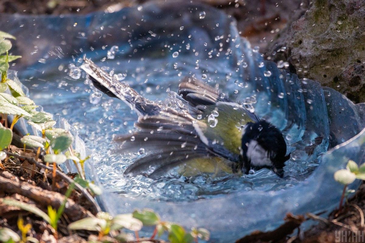 2 липня в Києві буде спекотно / фото УНІАН