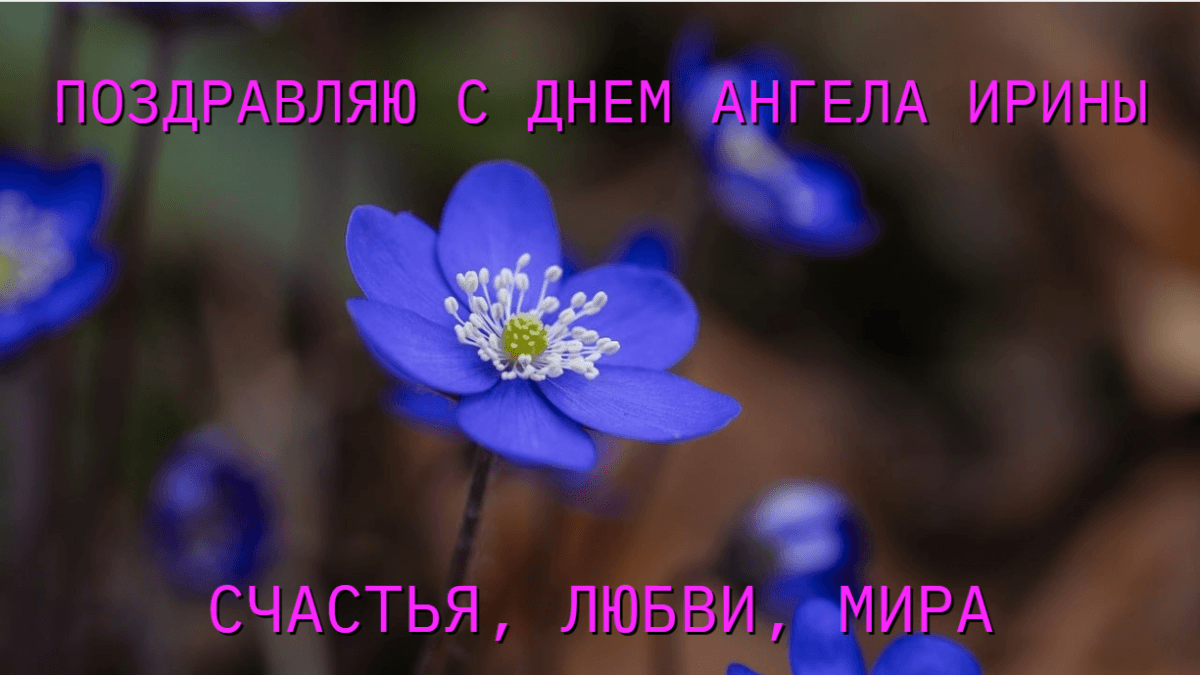 День ангела Ирины поздравления открытки / фото pixabay.com День ангела Ирины поздравления открытки / фото pixabay.com