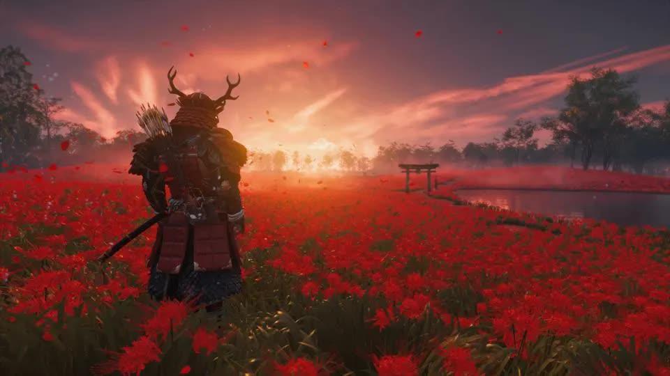 Ghost of Tsushima на ПК получила системные требования / фото Sony Ghost of Tsushima на ПК получила системные требования / фото Sony