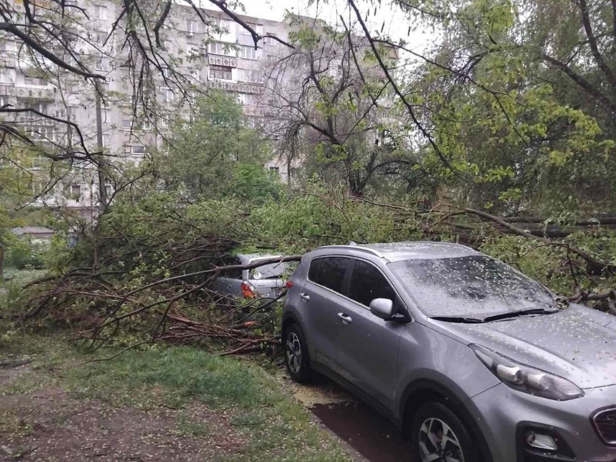 Через негоду гілки дерев попадали на автівки місцевих жителів / Офіційний сайт міста Одеса Через негоду гілки дерев попадали на автівки місцевих жителів / Офіційний сайт міста Одеса