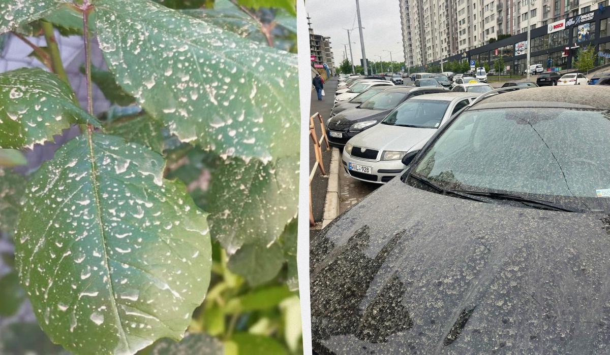 "Грязный" дождь прошел из-за пыли из Сахары / коллаж УНИАН, фото с Facebook-страниц Наш Измаил, Эвакуатор Кишинев "Грязный" дождь прошел из-за пыли из Сахары / коллаж УНИАН, фото с Facebook-страниц Наш Измаил, Эвакуатор Кишинев