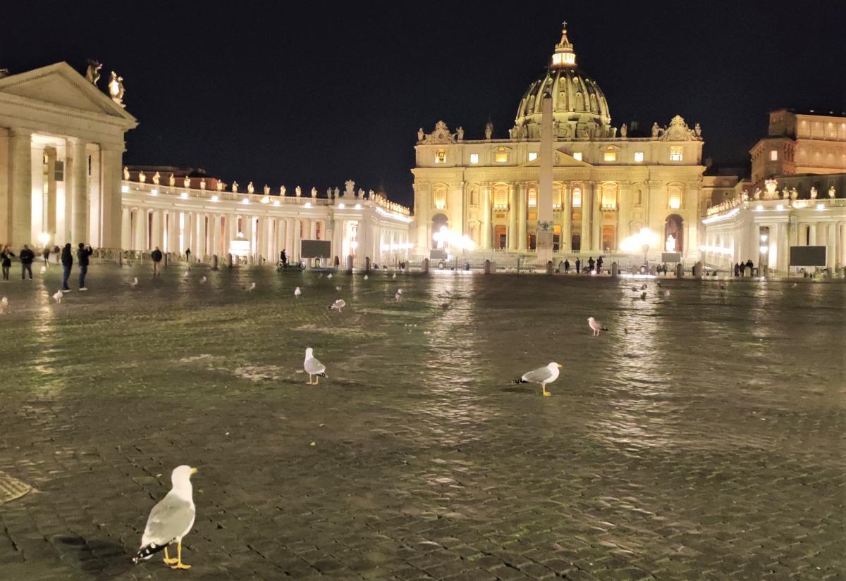 Ввечері площу Святого Петра в Ватикані окуповують чайки / фото Марина Григоренко