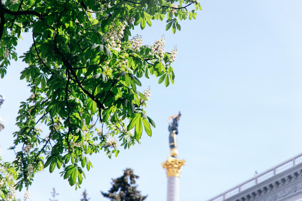 29 квітня в Києві буде чудова погода / фото КМДА 29 квітня в Києві буде чудова погода / фото КМДА
