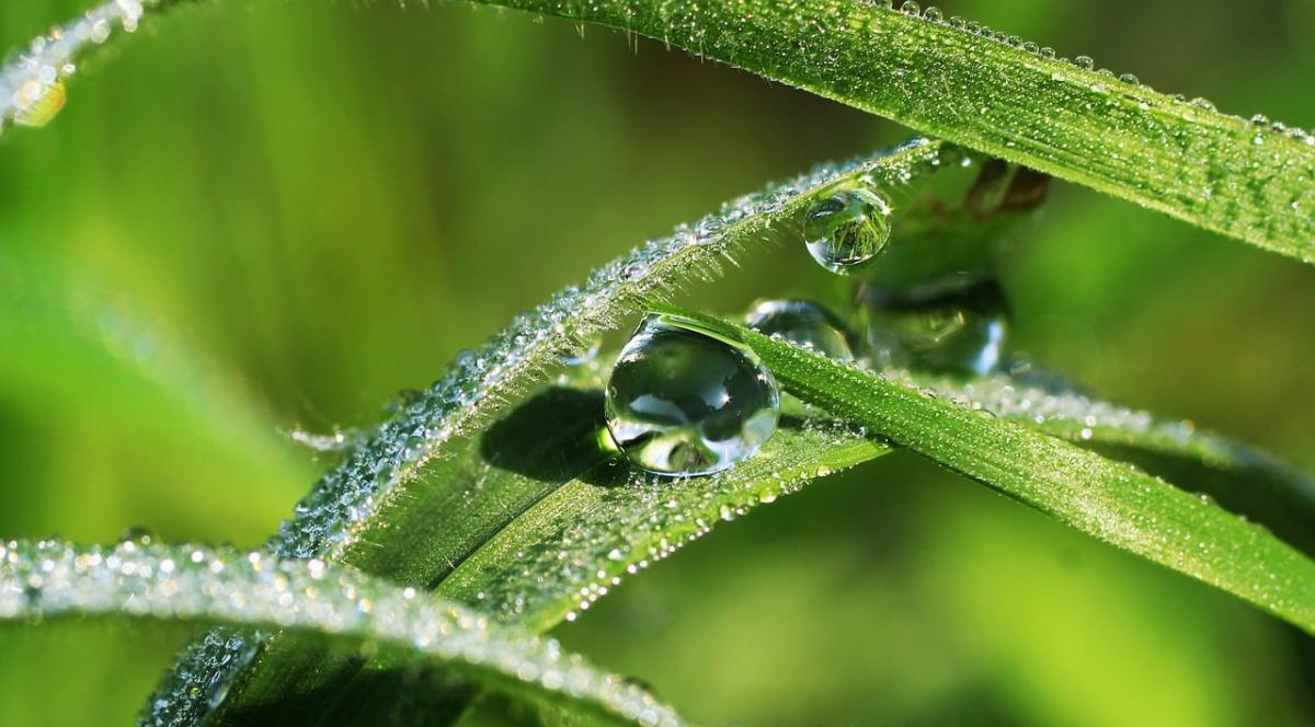 На выходных местами в Украине будет дождливо / фото Pixabay