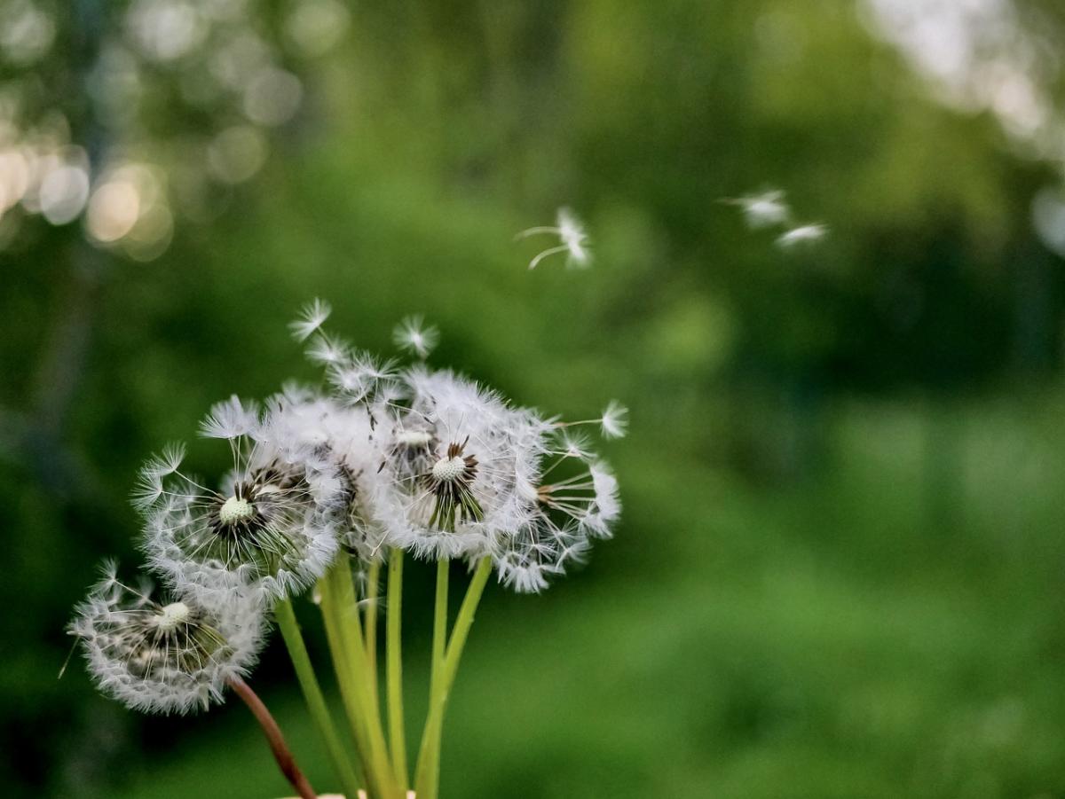 Погода на выходные - прогноз по Украине / фото Denise Henze / Pixabay Погода на выходные - прогноз по Украине / фото Denise Henze / Pixabay