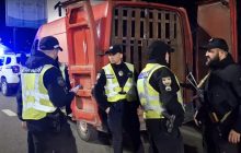 В Киеве остановили микроавтобус с оленями: одно из животных было мертвым (видео)