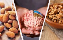 Доктор назвал три лучших ореха для здоровья мозга