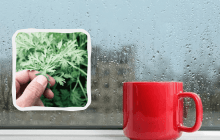 Почему сегодня нельзя смотреть в окно: праздники, приметы и запреты 20 апреля