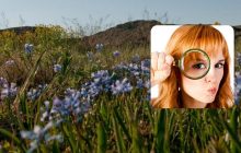 Чарівна головоломка для уважних: треба розкрити секрет гіацинтової галявини