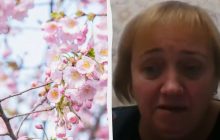 Жаркий апрель: в НАН Украины объяснили, с чем связана аномалия