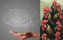 Простий тест для перевірки IQ: треба знайти курку серед півнів за 7 секунд