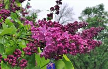 В Украине значительно посвежеет: синоптик рассказала, чего ждать от погоды в понедельник