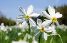 Укргидрометцентр сообщил, какая погода будет в апреле