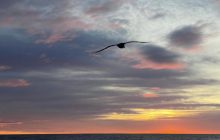 Полярники показали закат солнца над Атлантическим океаном: впечатляющие фото