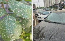 В Одесской области выпал "грязный" дождь с пылью из Сахары: несет ли он опасность