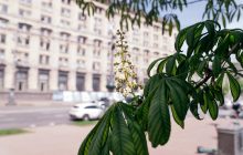 Погодні підсумки травня в Києві: до якого рейтингу увійшов місяць