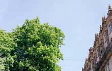 Грозовые дожди будут гулять по Украине: синоптик рассказала, какая завтра будет погода