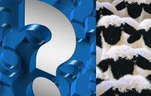 Фантастическая оптическая иллюзия: надо менее чем за 10 секунд найти собаку среди овец