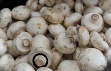 Насобирал у себя во дворе: в Черкасской области мужчина отравился похожими на шампиньоны грибами