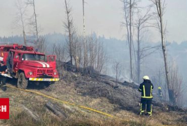 Украина горит: масштабные пожары в лесах и на плавнях