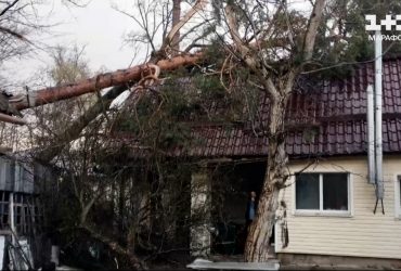 Пыль стояла столбом: крыши летали, деревья падали