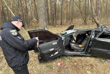 На Чернігівщині внаслідок падіння дерева на автомобіль загинуло двоє людей