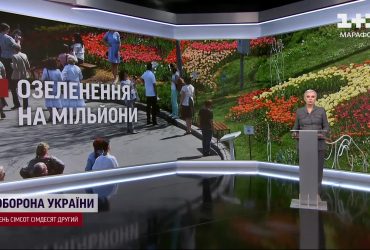 Озеленение Киева - на 20 миллионов гривен: откуда такие суммы и уместно ли это сейчас
