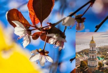 Киевщина расцветает сакурами: завтра столицу разогреет до летних температур