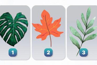 Ви спокійний чи тривожний? Швидкий і кумедний тест особистості