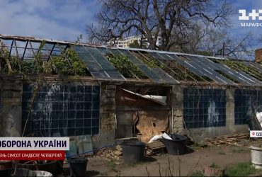 Одесситы восстанавливают любимый ботанический сад, который разбила российская ракета