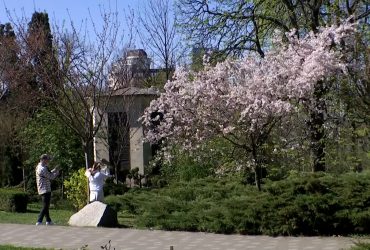 Тепло вот-вот закончится: синоптики сказали, когда придет похолодание