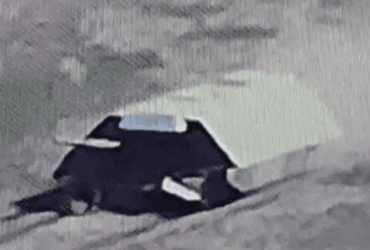 Саморобний російський танк-черепаха став легкою ціллю для ЗСУ, - Forbes