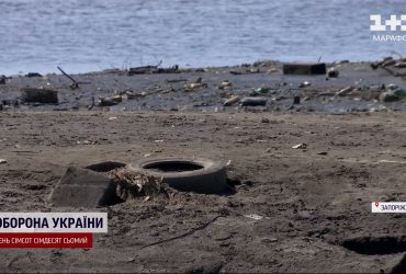 У Запоріжжі масово гине риба після ударів по Дніпровській ГЕС