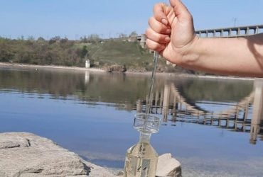 В Запорожье из-за ударов по ДнепроГЭС массово гибнет рыба: экологи указали причину (видео)