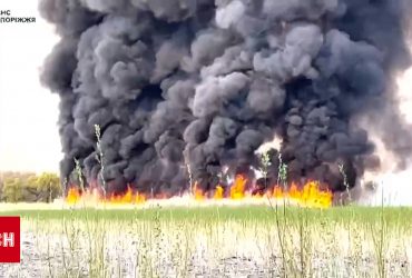 Плавни Днепра горят: пожарные пытаются потушить, но мешает погода