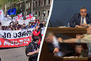 В Грузии протесты, а депутаты подрались в парламенте из-за российского закона (видео)