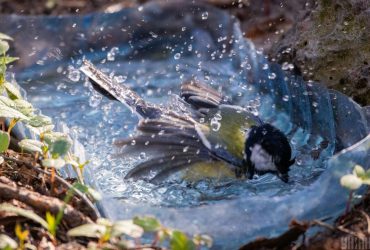 Пекуча спека й багато дощів: яка погода чекає на українців найближчого тижня (карта)