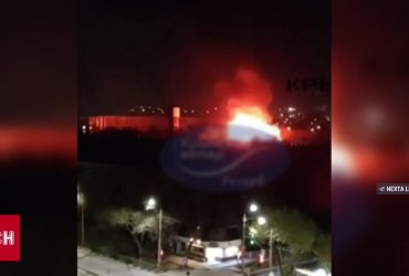 В оккупированной Евпатории заживо сгорел зоопарк